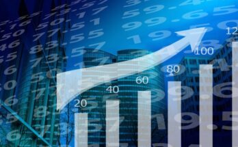 ¿Qué es la economía petrolizada?