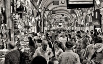 ¿Qué es la sociedad civil?