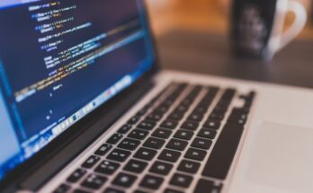 ¿Qué es una constante y una variable en programación?