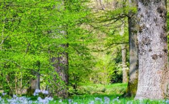 Qué recursos naturales tiene Costa Rica