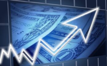 ¿Qué son las devoluciones sobre compras?