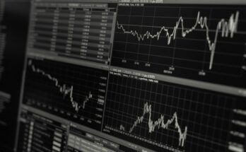¿Qué son los factores determinantes de la demanda?