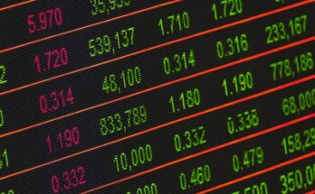 ¿Qué son los salarios devengados?