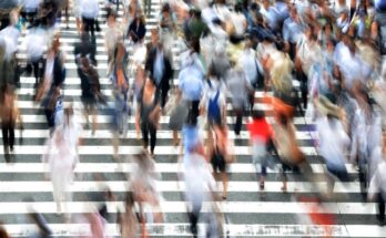 ¿Qué son los valores intelectuales?