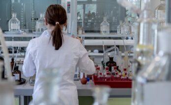 Qué vitaminas fortalecen el cerebro y la memoria